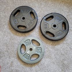25 lb WEIGHTS 