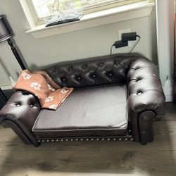 Adorable Small Dog Couch 