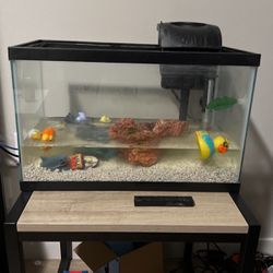 Fish Tank (including Heater, Filter, Rocks)
