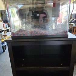 20 Gallon Tank and Stand