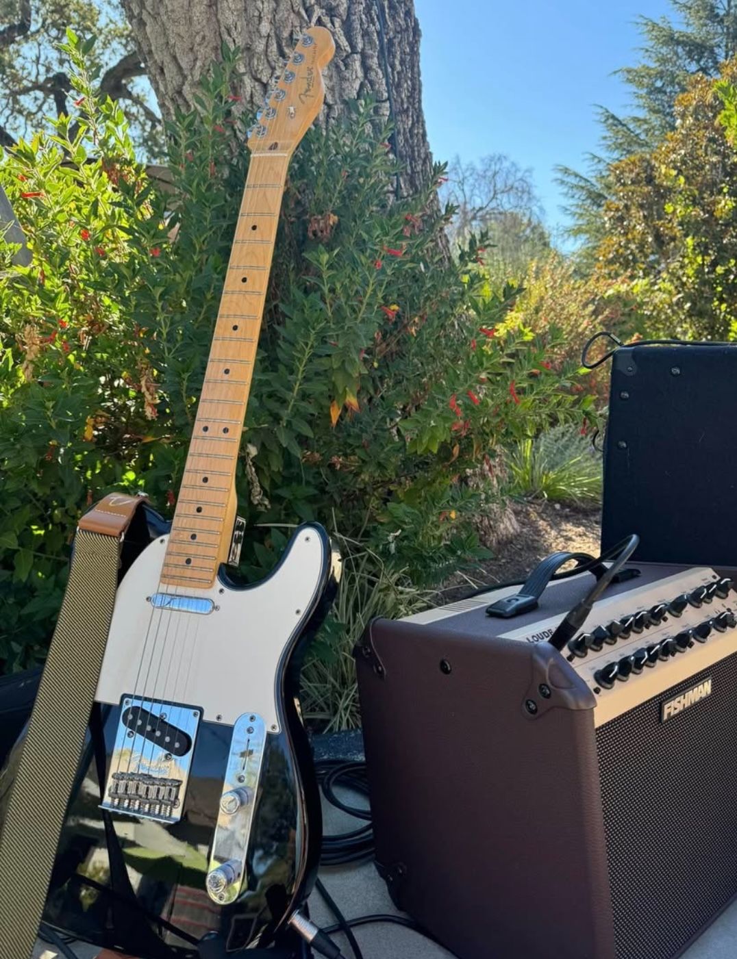 American Telecaster (Black) Hard Case Included