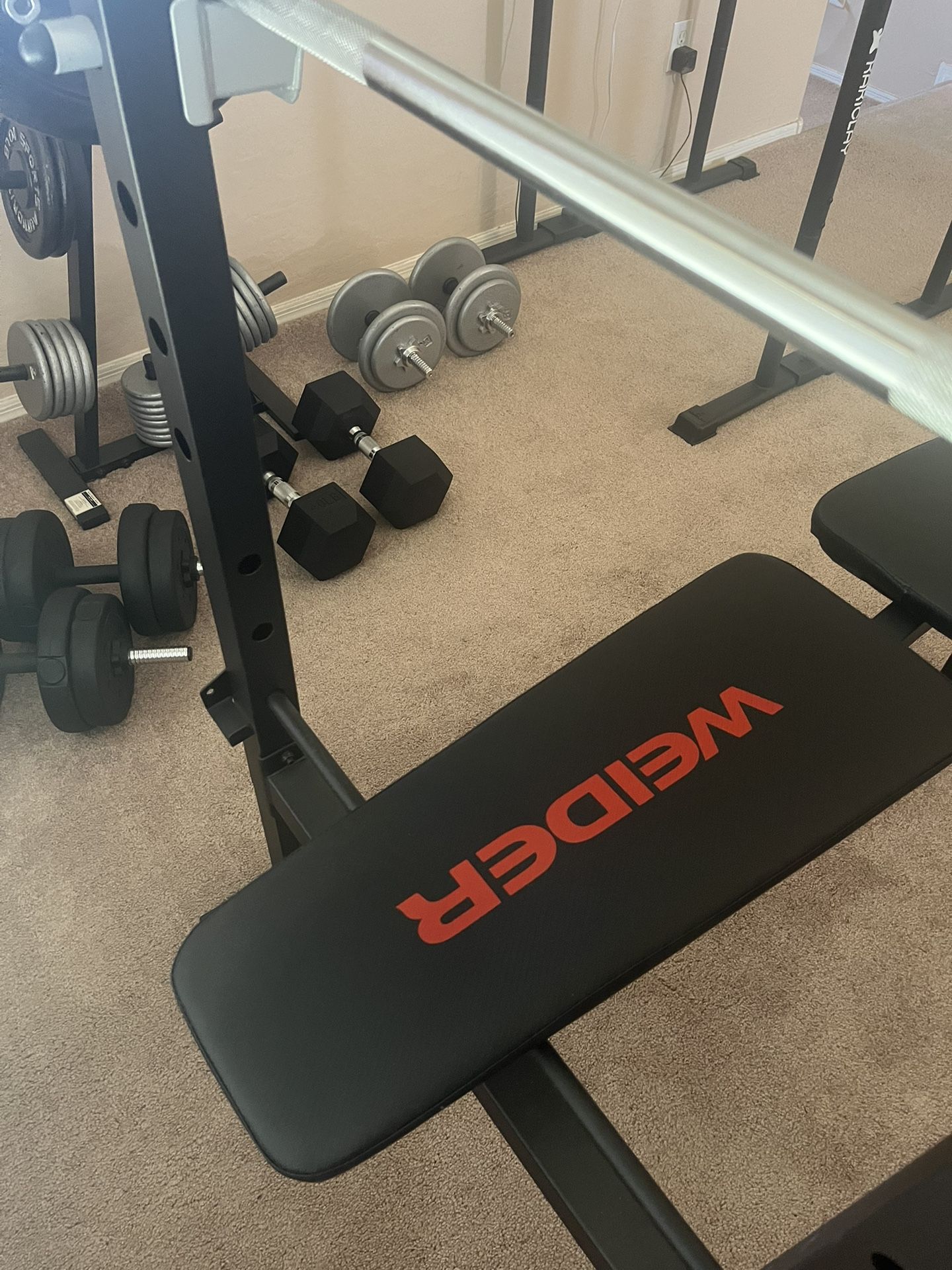 Workout Bench ONLY