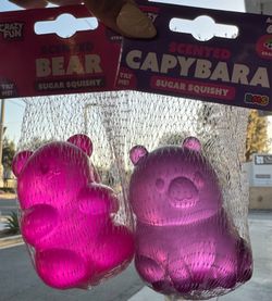 RMS Scented Bear & Capybara Sugar Squishy