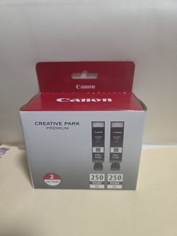 Canon 250 PGBK XL ink (x2)