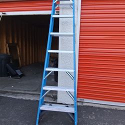 8 Foot Ladder