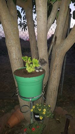 Going to visalia today