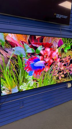 75” Samsung Oled S90F