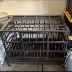 Dog Kennel 
