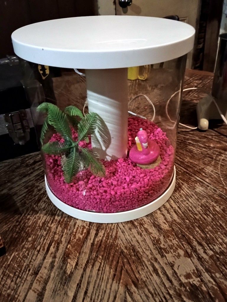 3.5 gallon topfin 360 degree fish tank with pink rocks and aquarium decorations.