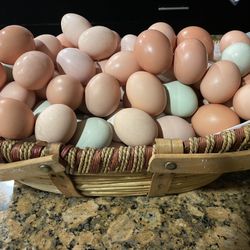 Eggs -Fresh Organic