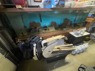 150 Gallon Aquarium