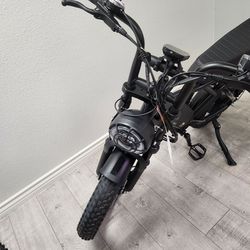 TST R002 Moped-Style E-Bike
