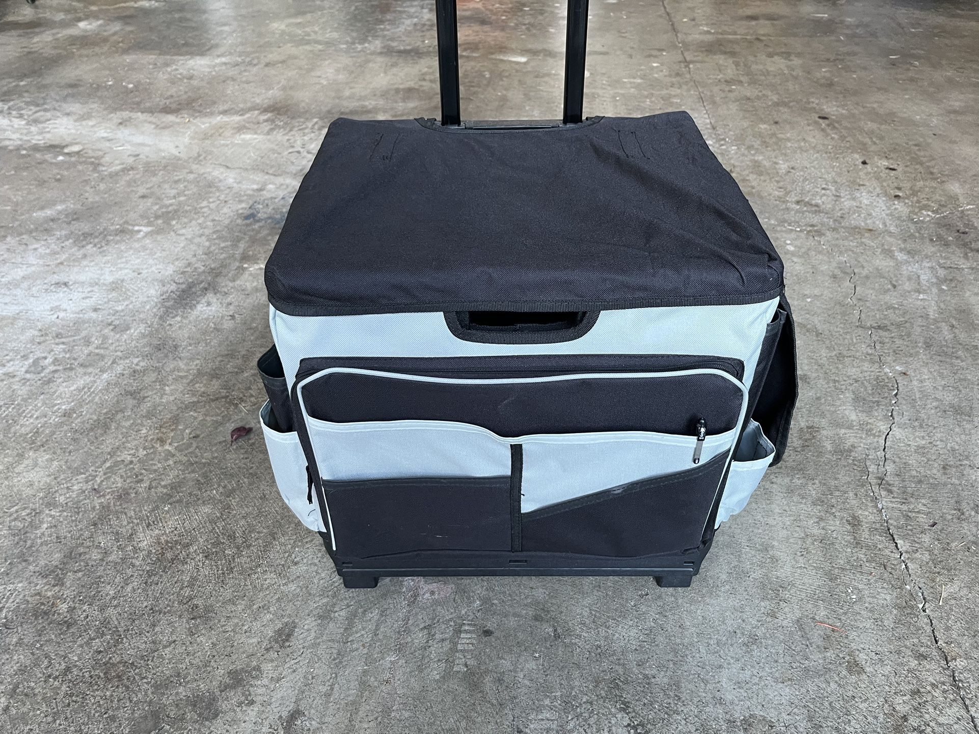 Universal Rolling Cart And Organizer Bag