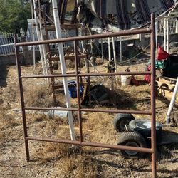 Construction Scaffold