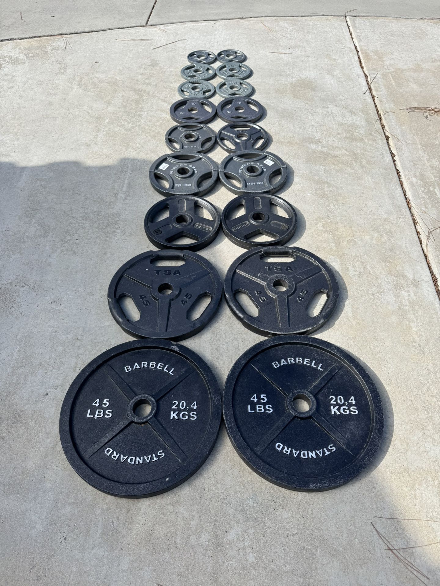 Weights With Weight Storage Rack