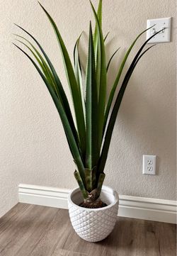 Artificial Agave Plant 🪴