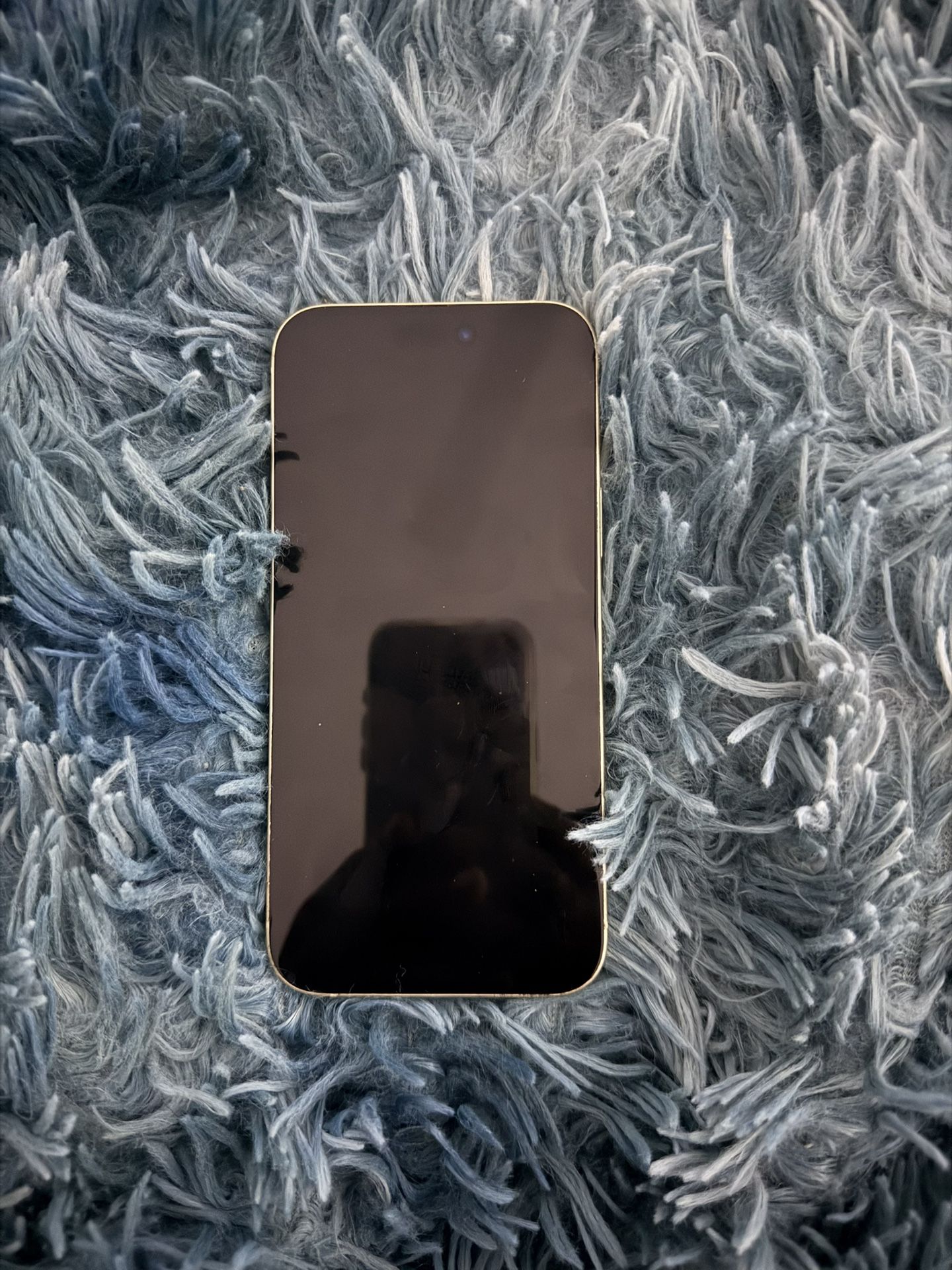 IPhone 15 Plus