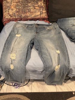 Torrid jeans