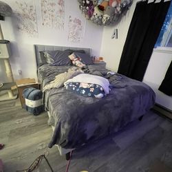 Queen Bed Frame