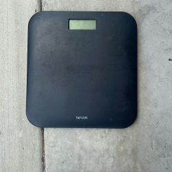 Taylor Digital Scale