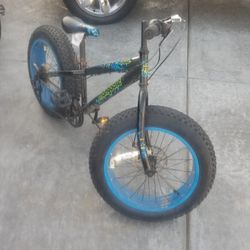 Big Tire Bike