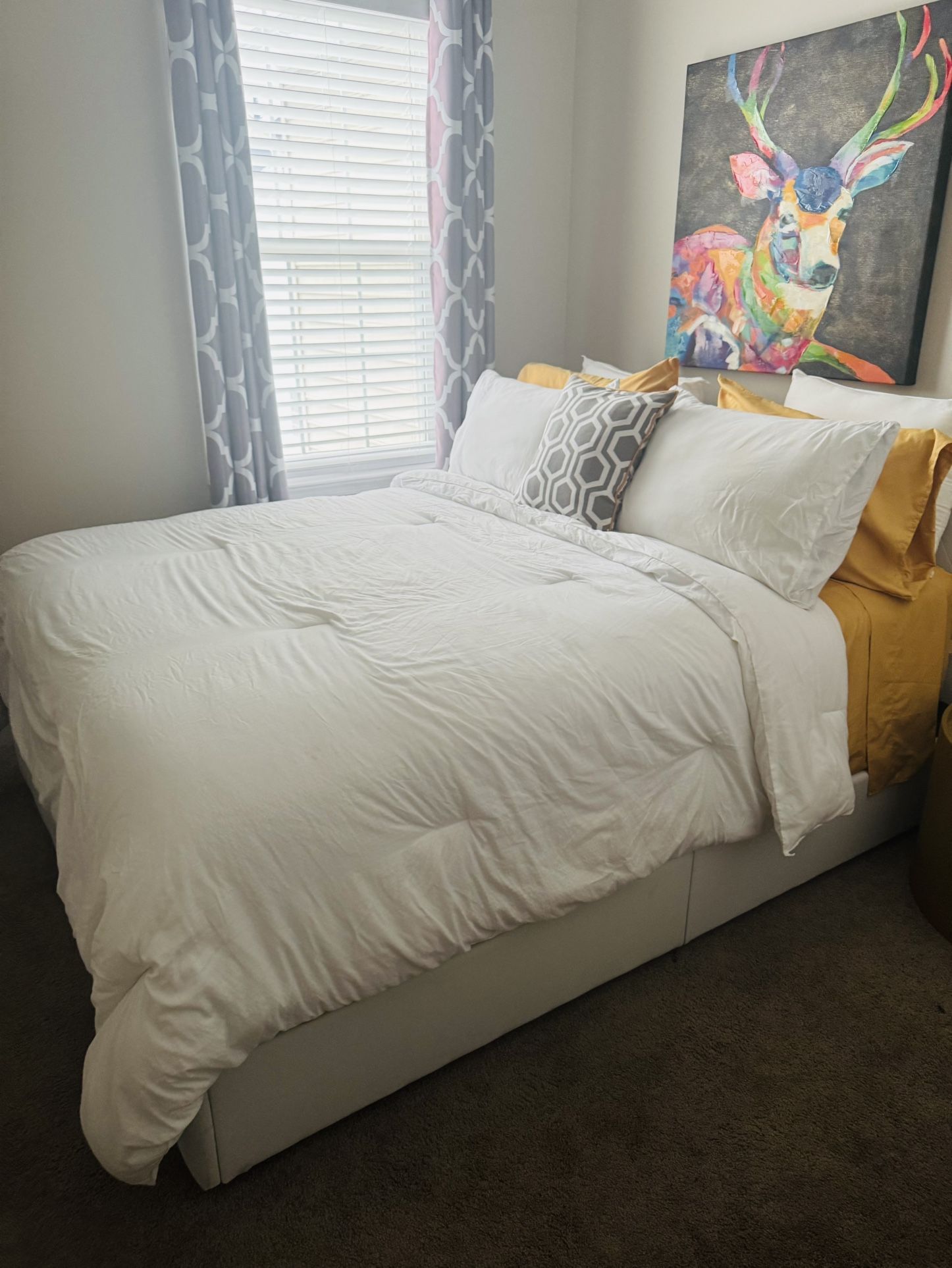 Queen Size Bed & Mattress