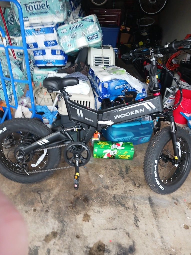 Mens Wooden 20inch Wheel Electric Bike