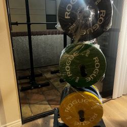 🔴  Titan Fitness Bumper Tree 