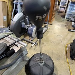 Everlast Standing Punching Bag/Ball 