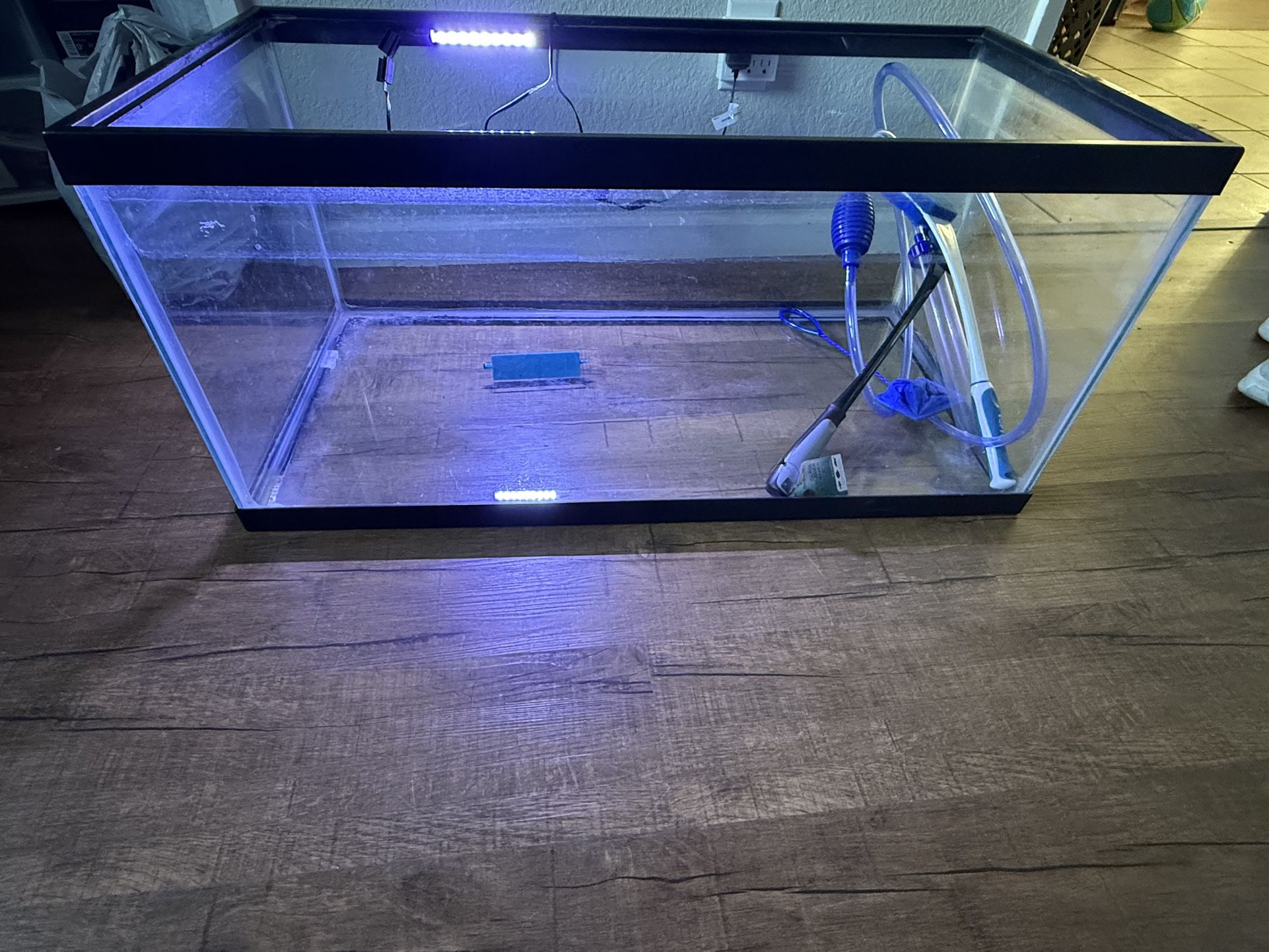 Fish Tank