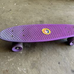 Mini Skateboard 