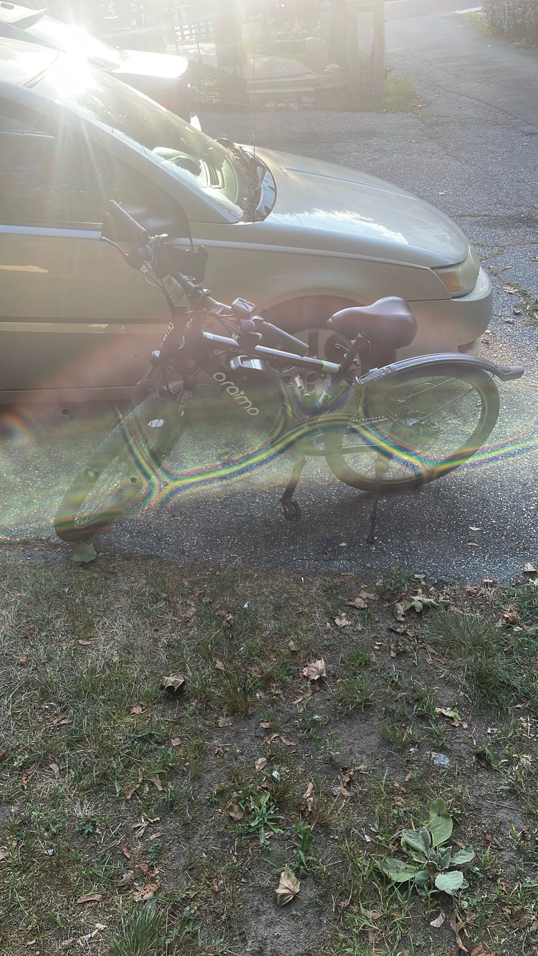 Araimo Monster 100 Electric Bike