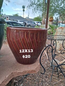 Large potter plants