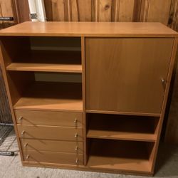 Modern Wood Storage Cabinet / Bookshelf — Great Condition