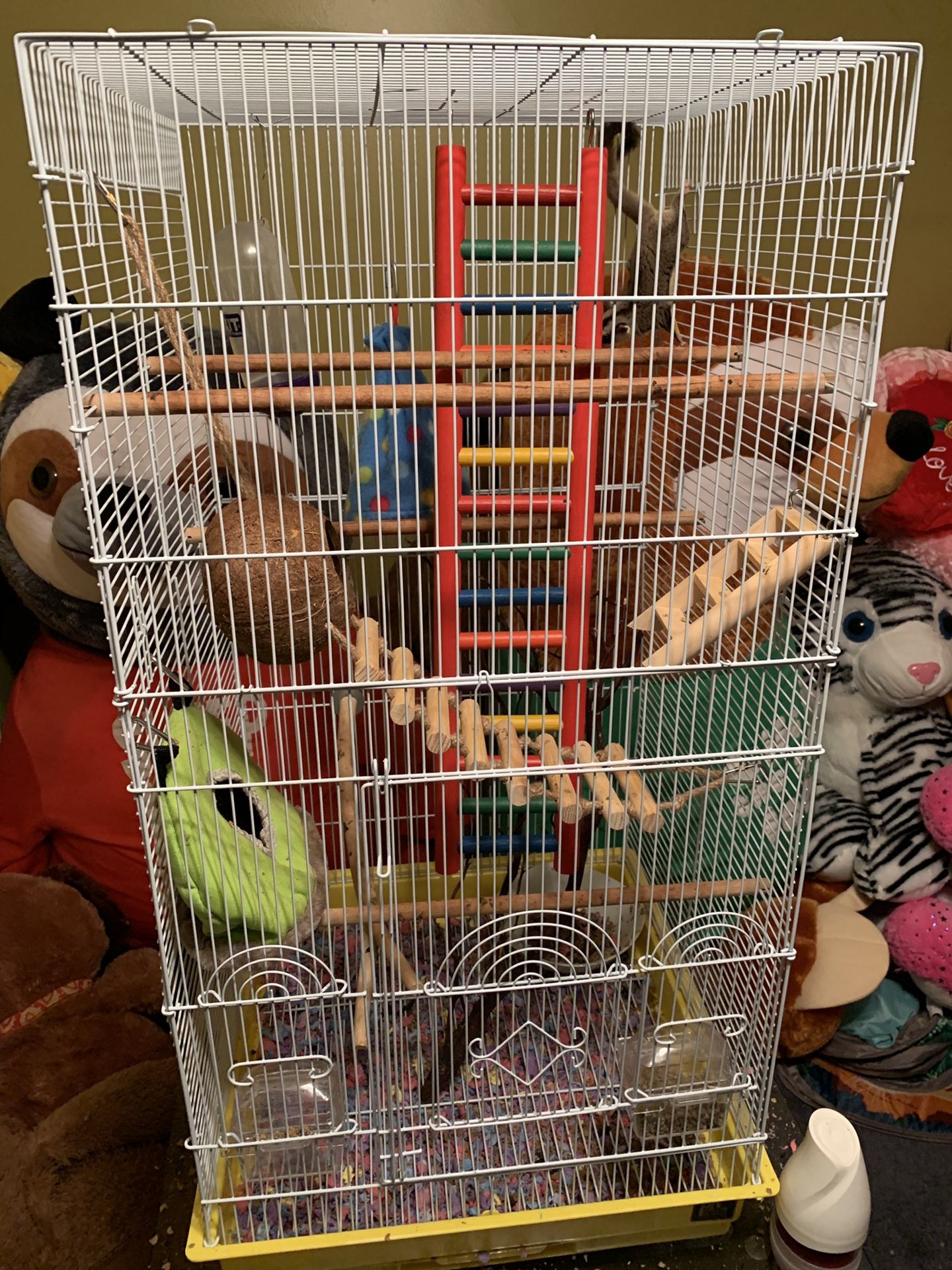 Sugar glider cage