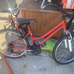 Roadmaster Bike 