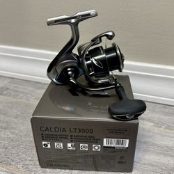 Brand New Daiwa 25 Caldia Lt 3000 Spinning Reel