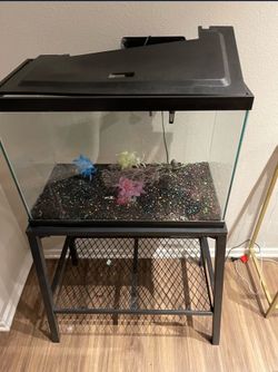 Fish Tank with base