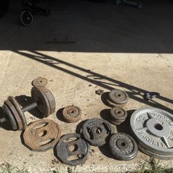 Weight Plates For Sale 
