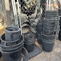 Nursery Pots 1 / 2 / 3 / 5 /15 Gallon (S. Escondido)