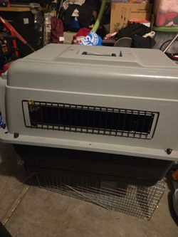 Animal  carrier new