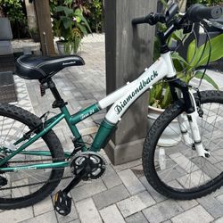 Diamondback Bicycle Mountain Bike Tess 24” Youth Girls