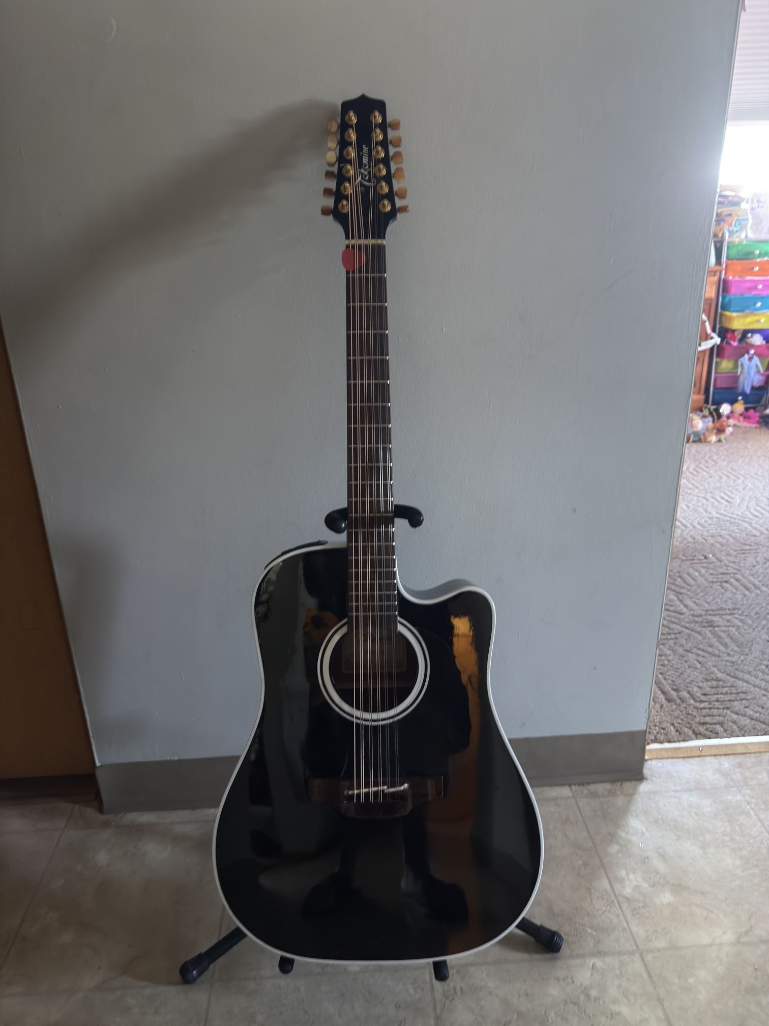 Takamine P3DC-12