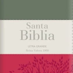 Biblia RVR 1960 Letra Grande Tamaño Manual Tricolor Gris Crema Rojo con Cierre con Índice