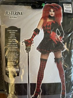 Jesterina Costume