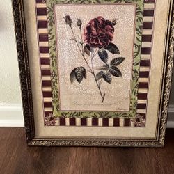 Antique Rose Frames 