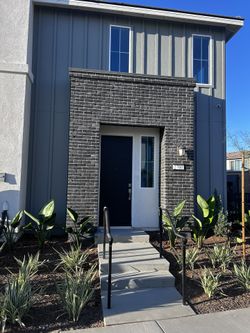 Brick veneer
