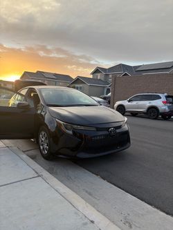 🚗 2026 Toyota Corolla LE — ONLY 3,000 MILES!