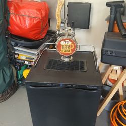 Edgestar Double-Tap Kegerator