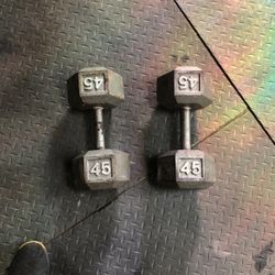Dumbbells 45 Lb Weights 